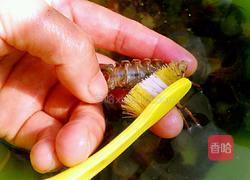 麻辣龙虾尾的做法图解4