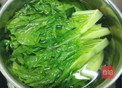 白灼油麦菜的做法图解5