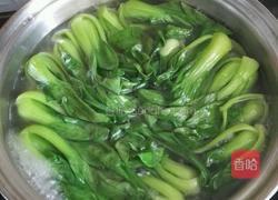 油菜蘑菇的做法图解17