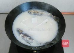清炖鲫鱼的做法图解3