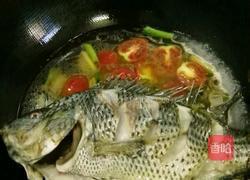 小蕃茄烧罗非鱼的做法图解7