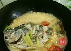 小蕃茄烧罗非鱼的做法图解8