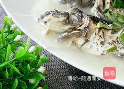 清炖鱼的做法图解15