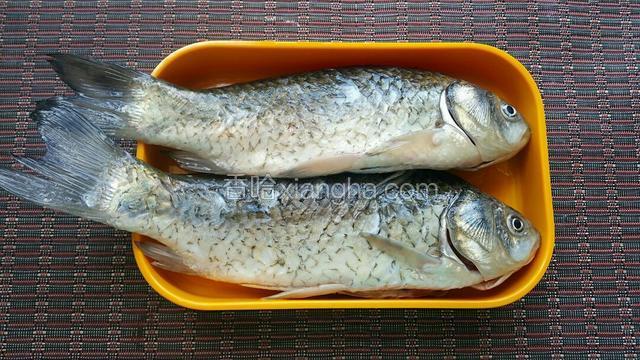 准备食材，鲫鱼2条