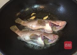番茄焖石斑鱼块的做法图解3