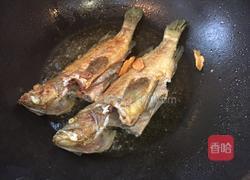 番茄焖石斑鱼块的做法图解4