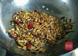 香酥开边蚕蛹的做法图解11