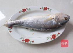 家常红烧鱼的做法图解1