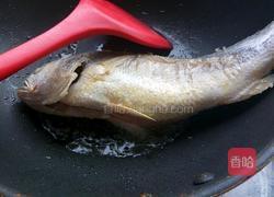 家常红烧鱼的做法图解7