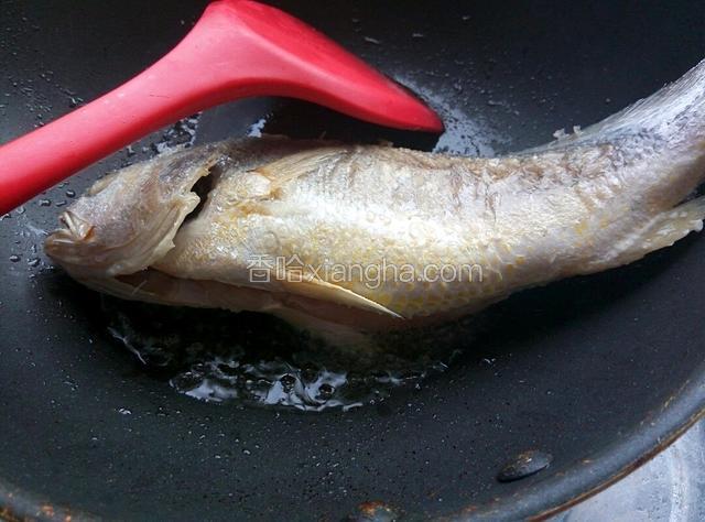 开始煎鱼了，从鱼头开始煎，