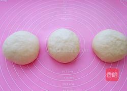 奶香土司（一次发酵法）的做法图解5