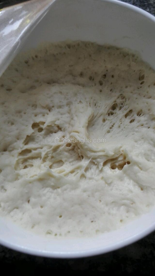 面团醒发膨胀到两倍大就发好了
