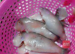 黄金煎鱼的做法图解2