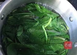 凉拌萝卜缨的做法图解4