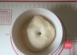 奶油面包的做法图解4