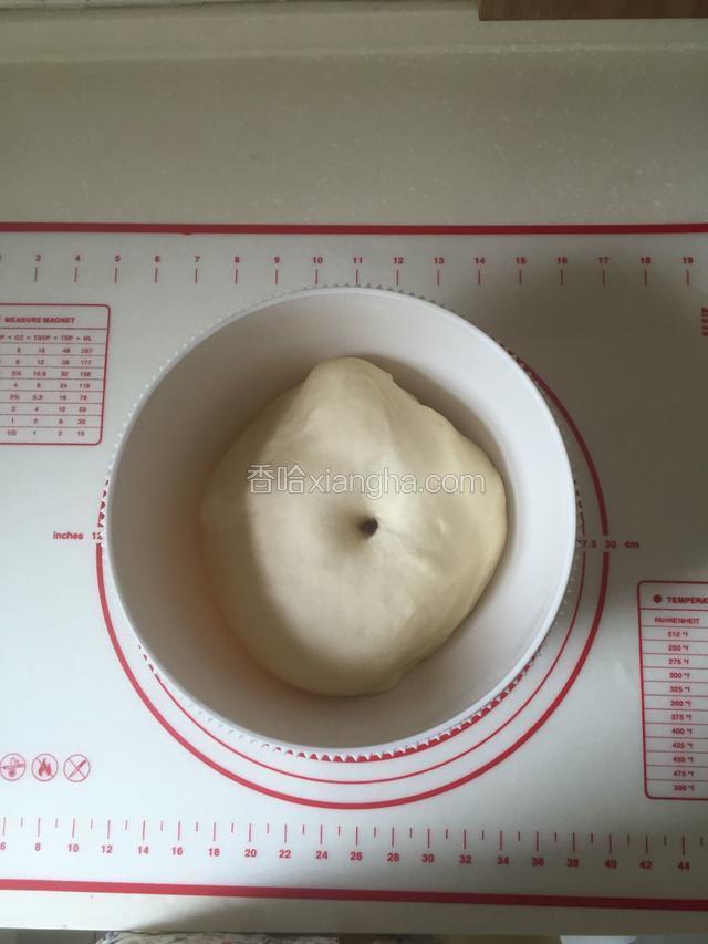 发酵至两倍大。