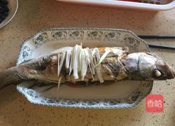 葱油鲈鱼的做法图解6