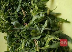 扫帚苗的做法图解2