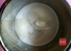 木瓜牛奶冻的做法图解6