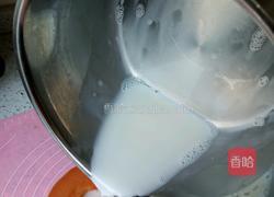 木瓜牛奶冻的做法图解12