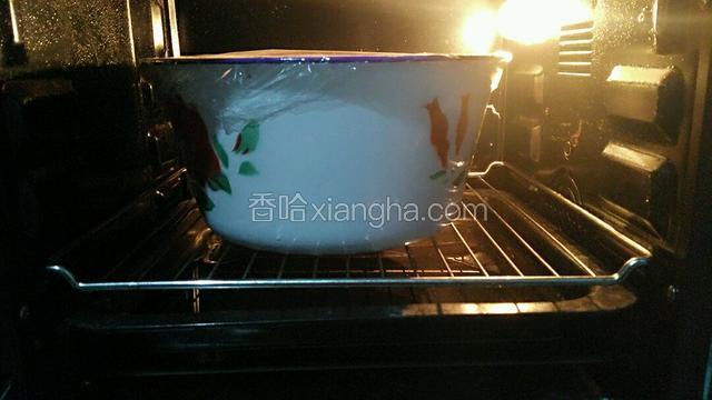 将面盆放入烤箱中层，烤箱设定为发酵模式，时间六十分钟，温度上下火六十度。