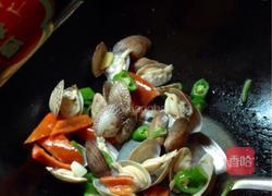 双椒炒花蛤的做法图解6
