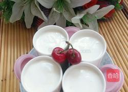 冻酸奶的做法图解7