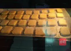 Illustration of shredded coconut biscuits 10