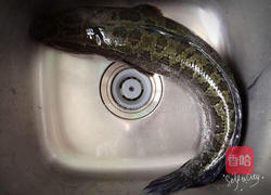 酸菜水煮鱼的做法图解1