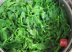 苜蓿摊鸡蛋饼的做法图解2