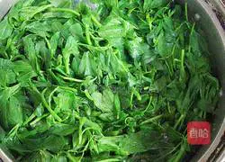 Alfalfa Egg Pancake Recipe Illustration 2