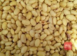 自发黄豆芽的做法图解4