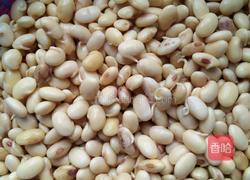 自发黄豆芽的做法图解7