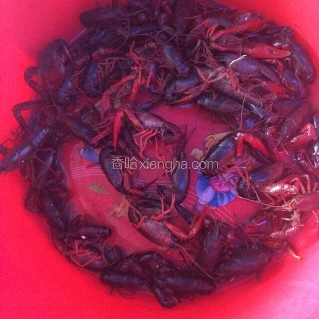 准备食材。