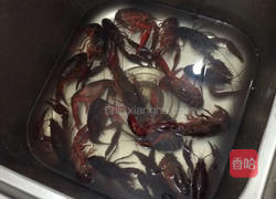 红烧小龙虾的做法图解2