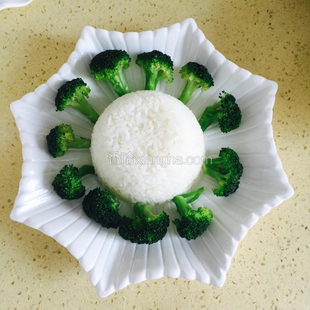 摆设西兰花