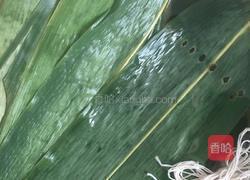 红枣粽子的做法图解2