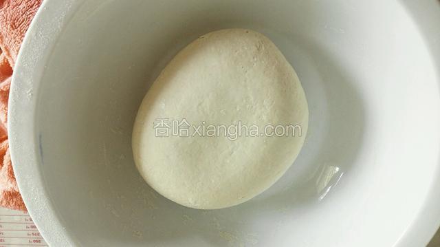 然后揉成硬面团盖上湿布饧半小时