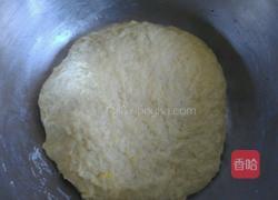 蜂蜜麻花的做法图解5