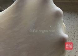 蜂蜜面包的做法图解5