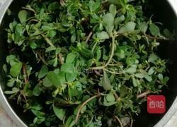 马齿苋窝窝头的做法图解1