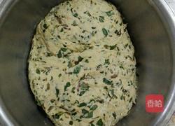 马齿苋窝窝头的做法图解5