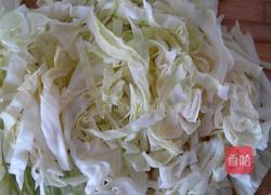 粉丝包菜的做法图解1