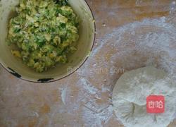 西葫芦水饺的做法图解3