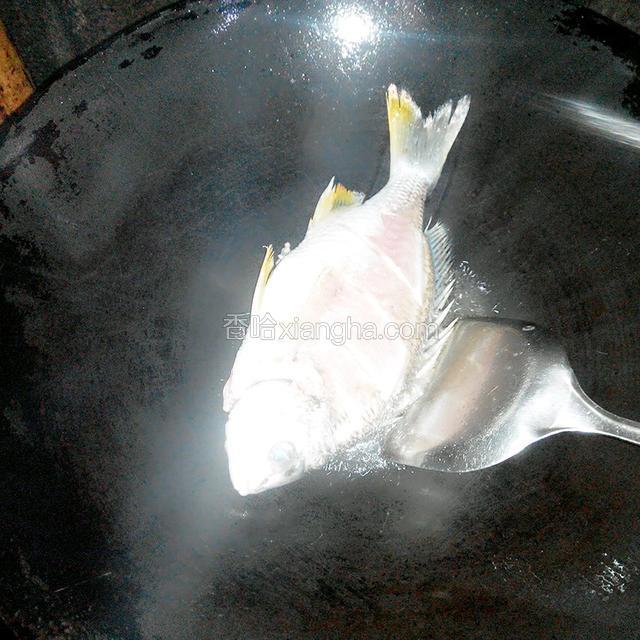 锅中加一点点的油，放入鱼煎至到鱼两面金黄