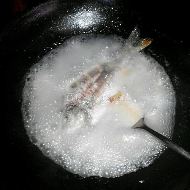 煮至汤成奶白色，煮至鱼断生，就可以出锅啦！