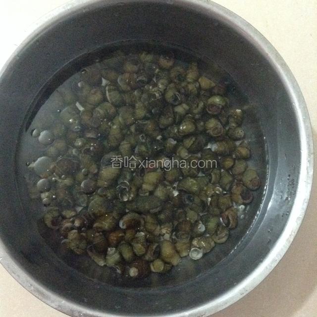 螺丝买回来之后，滴点香油在清水里养上一会，我是早上买来养到中午。