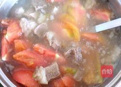 牛肉炖西红柿的做法图解8