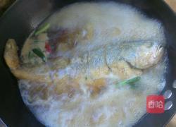 煎烧黄花鱼的做法图解6