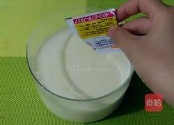 奶粉酸奶的做法图解3